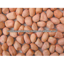 Leading Supplier of Peanut